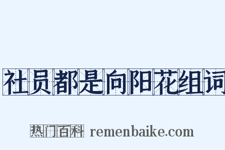 社员都是向阳花组词是什么意思的图片